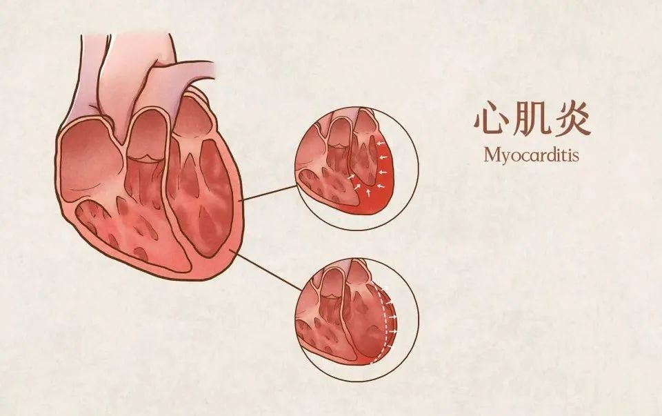 e3bdb78066ade19be7ad8128cb514631.jpg e3bdb78066ade19be7ad8128cb514631.jpg