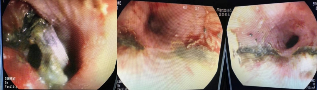 01_副本_副本.jpg 01_副本_副本.jpg